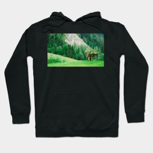 Wheelbarrow in Carnic Alps Hoodie